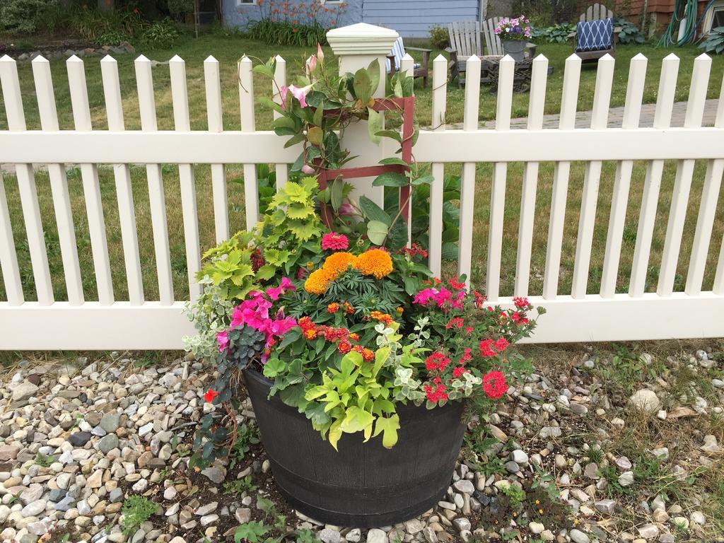 وينثروب Harrington House Bed & Breakfast المظهر الخارجي الصورة
