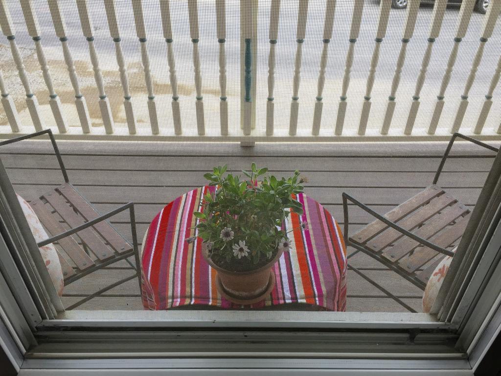 وينثروب Harrington House Bed & Breakfast المظهر الخارجي الصورة
